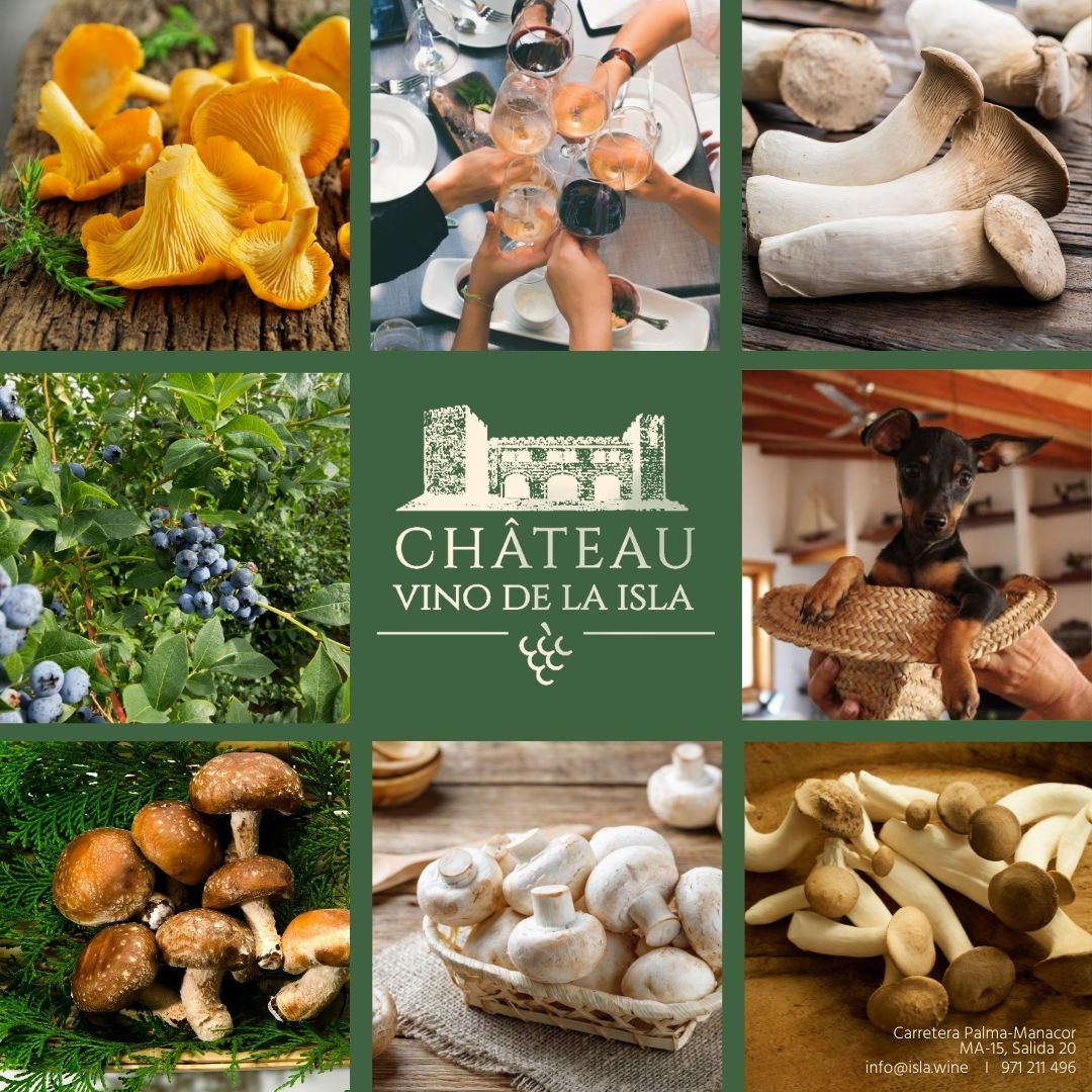 Wein und Pilze - Die Saison ist eröffnet - am 22.7. von 11-18.30h in der Bodega Château Vino de la Isla - gerne weitersagen